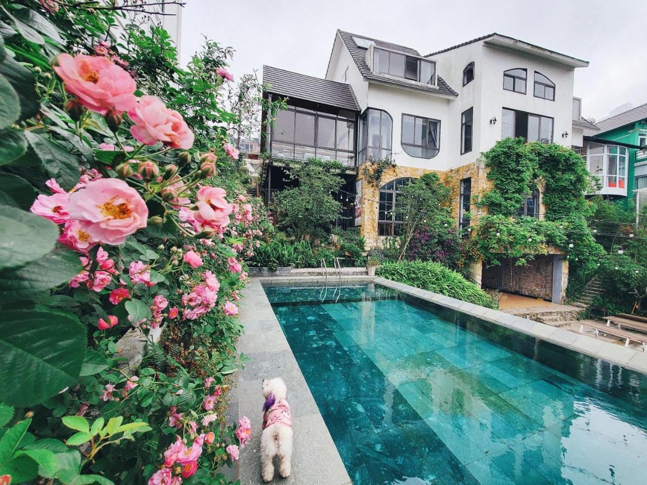 Le Vent Tam Dao Homestay Buitenkant foto